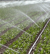 物联模组应用于大田种植物联网和智能节水灌溉系统