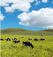 物联模组应用于畜牧物联网管理系统